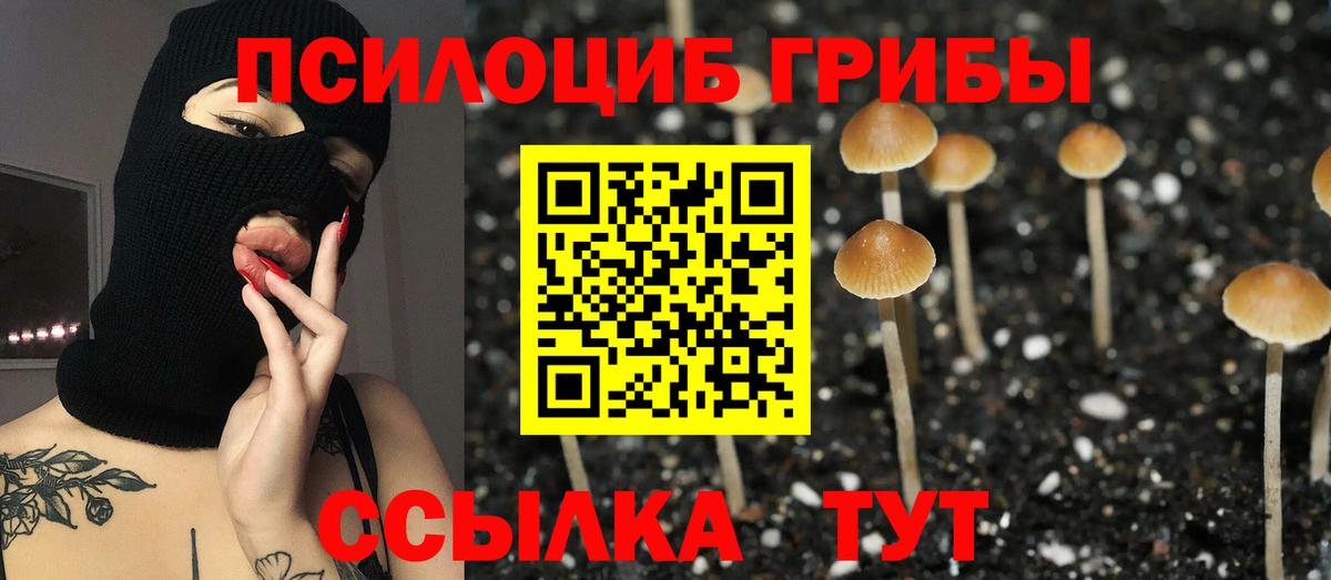 Галлюциногенные грибы Psilocybine cubensis Семёнов