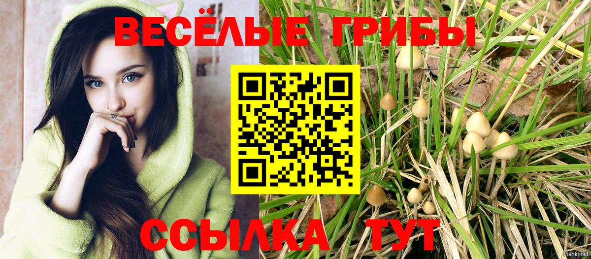 Семёнов  как найти закладки  Вход с VPN  Галлюциногенные грибы Cubensis 